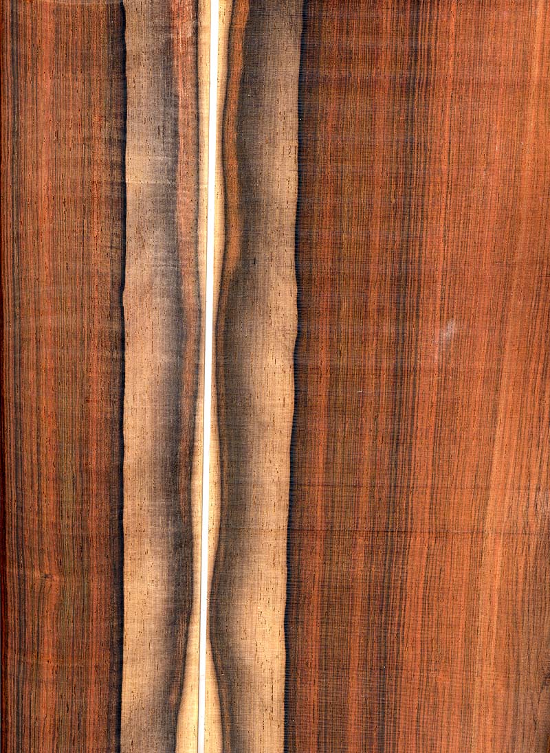 Brazilian Rosewood set 17